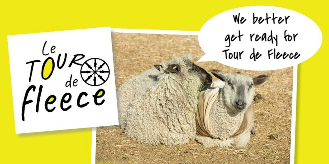 Tour de Fleece Spin-In